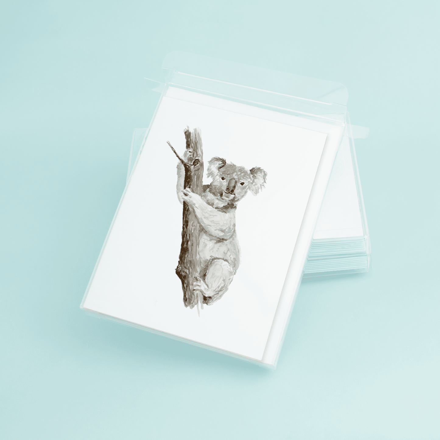 Koala - themonogram manor