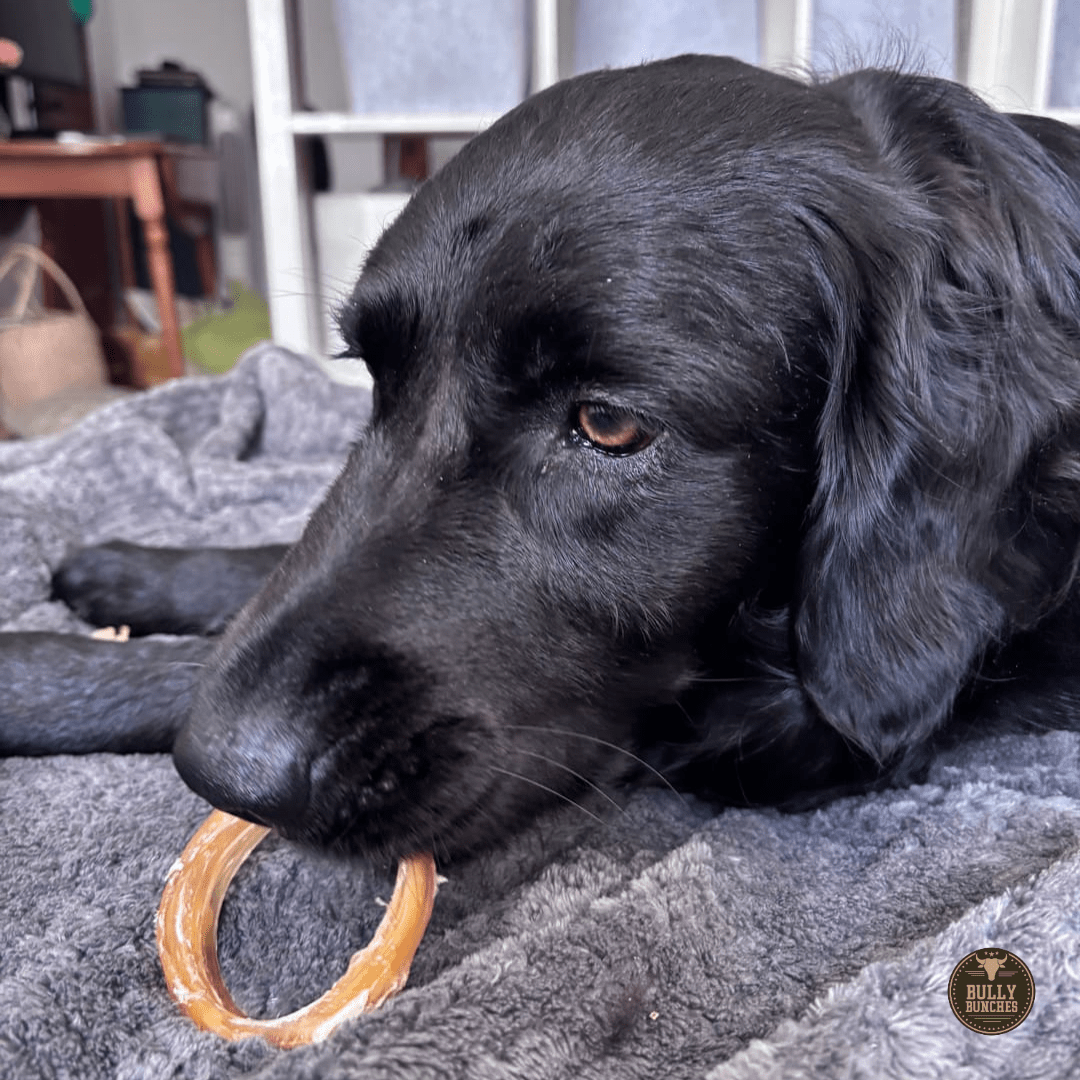 Beef Backstrap Ring - themonogram manor