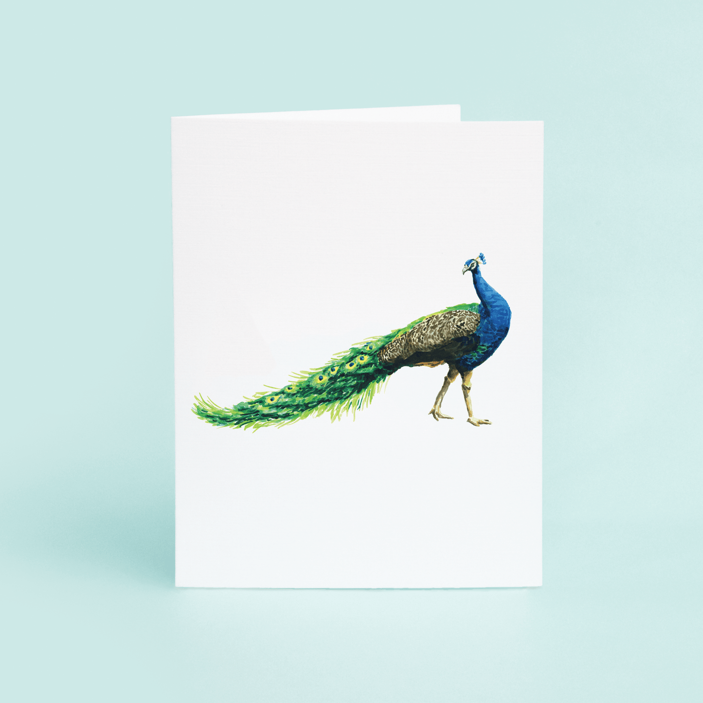 Peacock Strut - themonogram manor