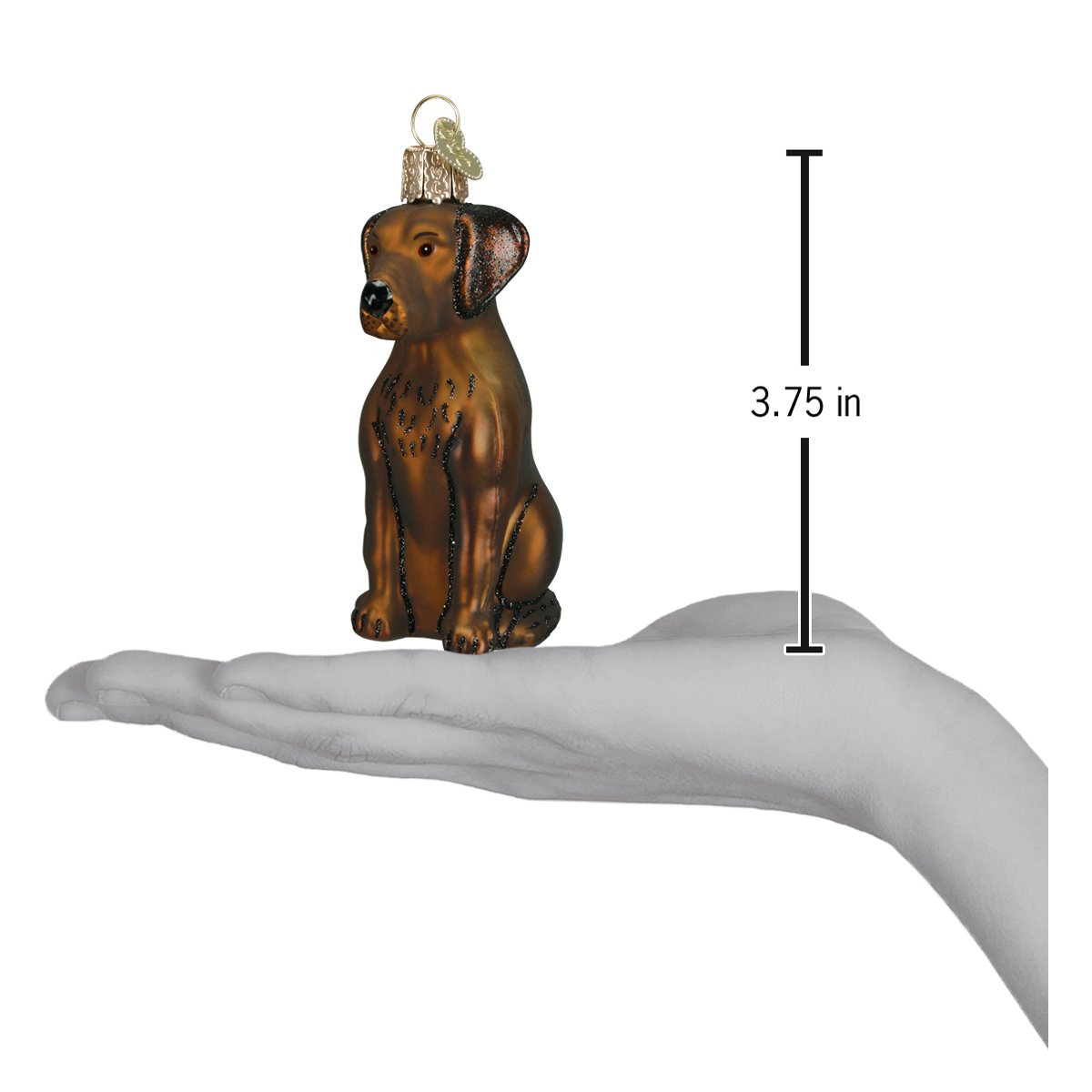 Chocolate Labrador Ornament - themonogram manor