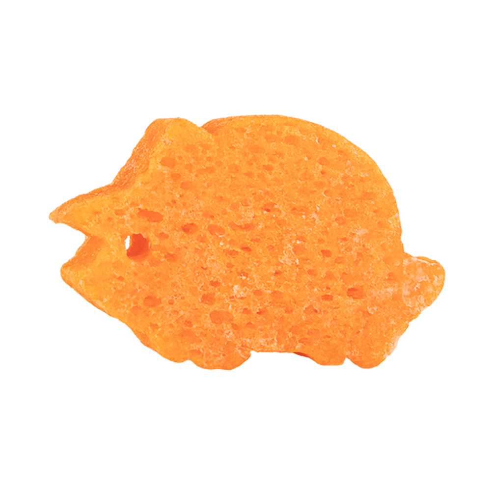 Tina Triceratops | Spongeasaurus Dinosaur Buffer - themonogram manor