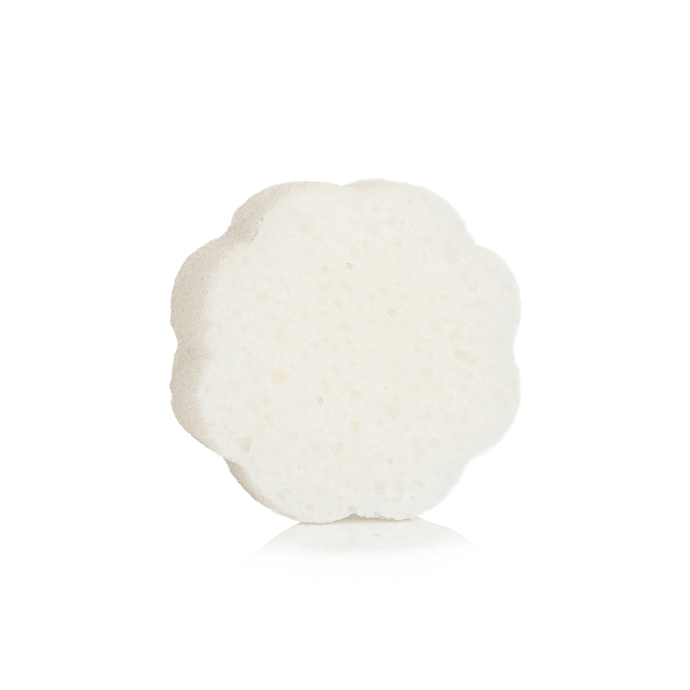 Sego Lily | Elevation Spongette - themonogram manor
