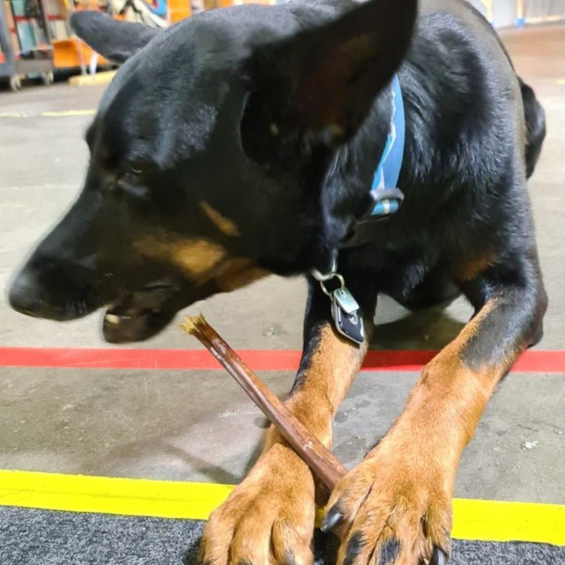 12 Inch Beef Jerky Stick - themonogram manor