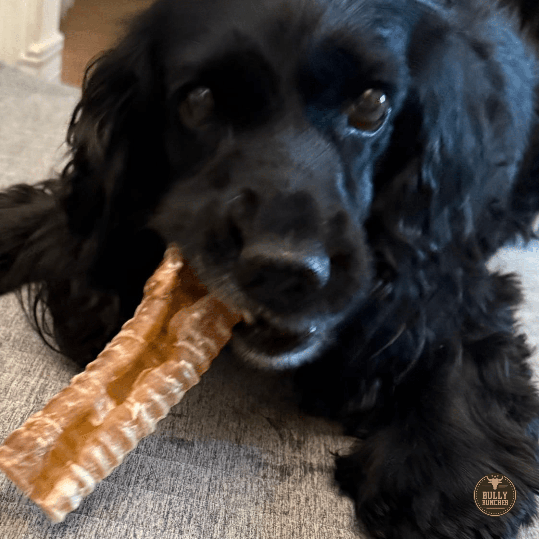 6 Inch Beef Trachea - themonogram manor