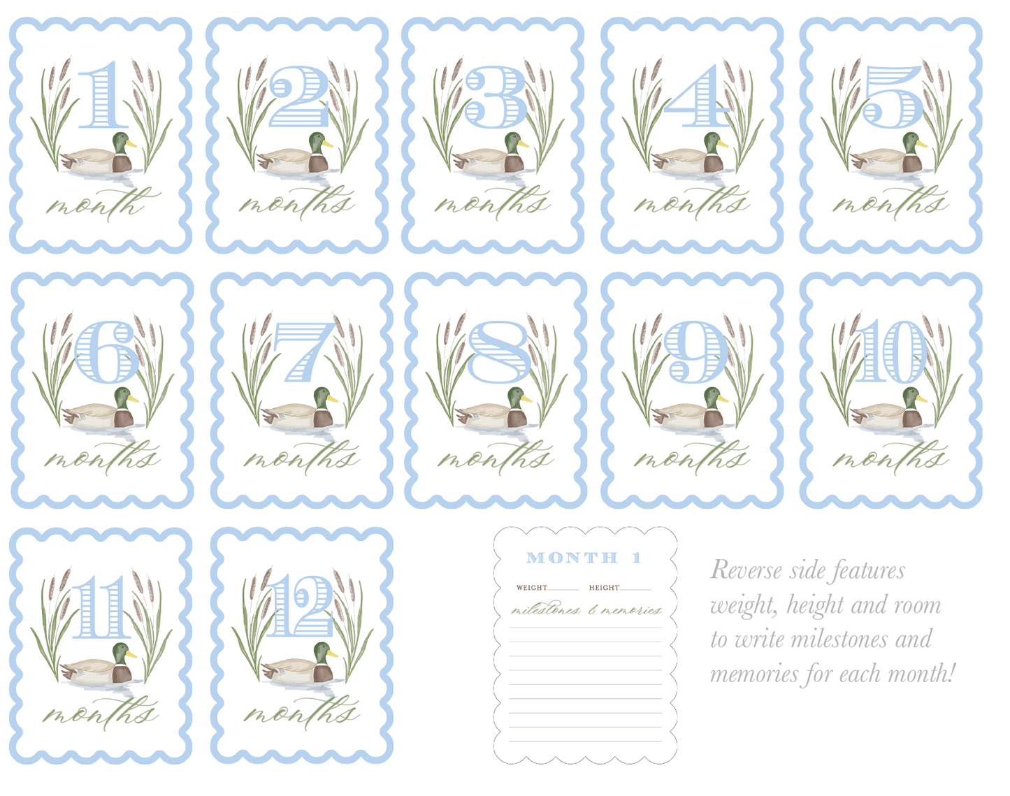 Watercolor Mallard Duck Milestone Cards - themonogram manor