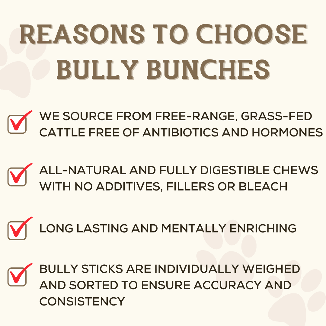 6 Inch Jumbo Braided Bully Stick - themonogram manor