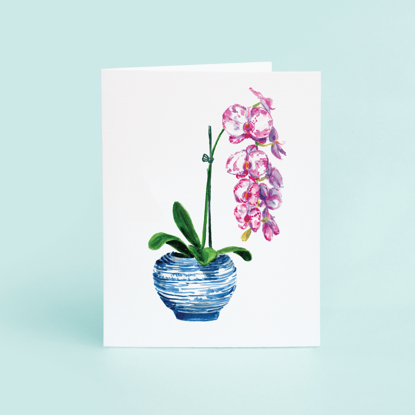 Orchid - themonogram manor