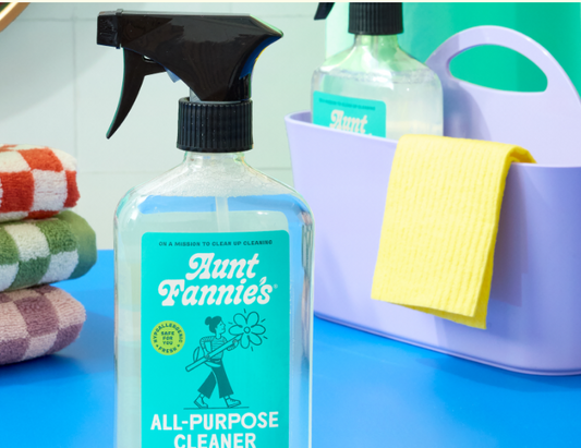 Aunt Fannie’s & the Clean Freak Chronicles