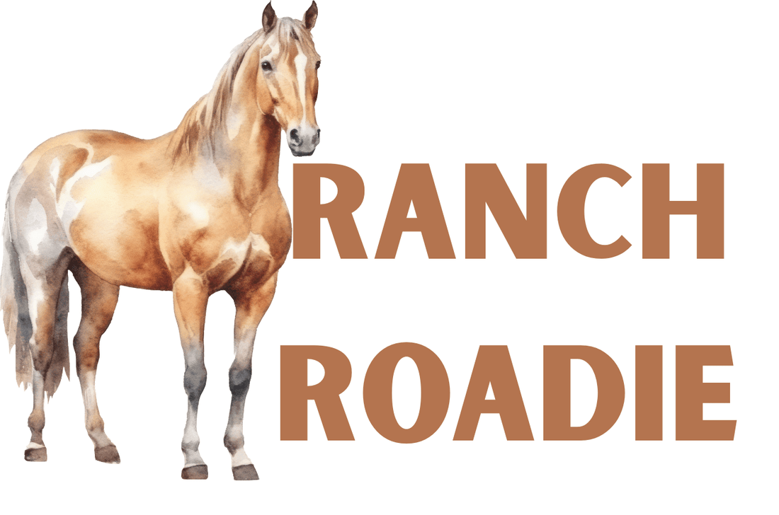 🐎 Rodeo Ready: Amazon Faves for the Perfect Southern Look - The Monogram Manor