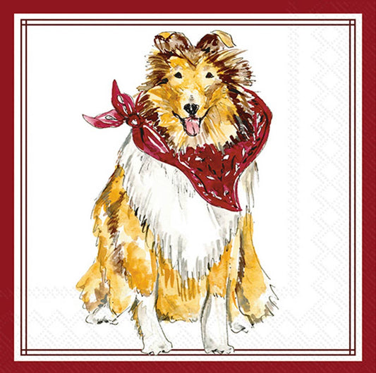 Texas A &M Paper Cocktail Napkins 20 Ct