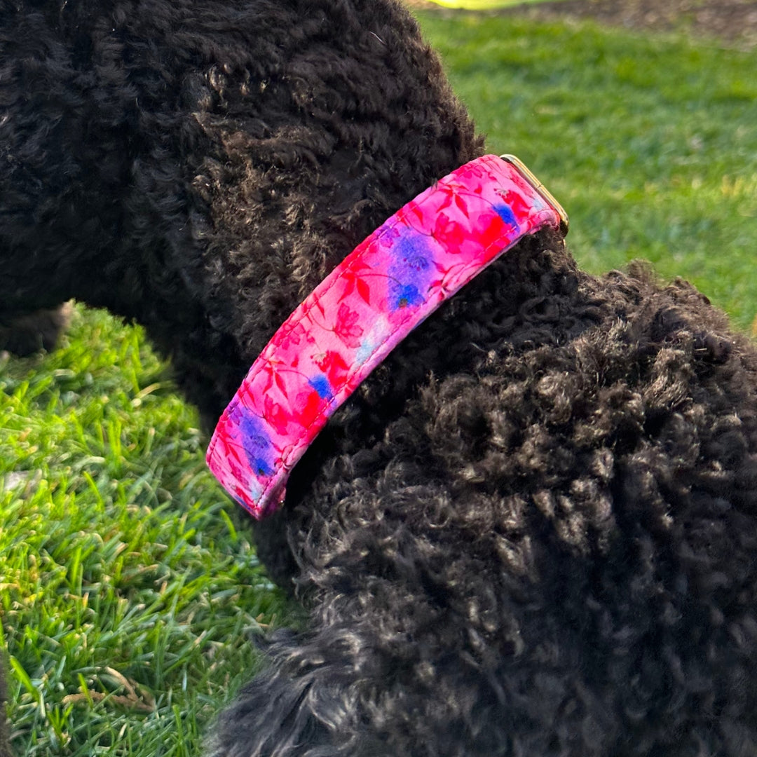 Petal Splash Collar