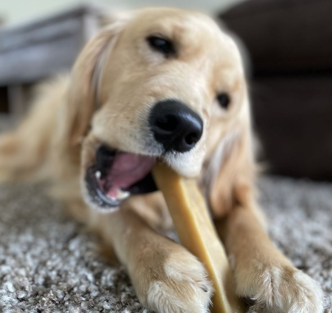 Himalayan Yak Chew (LARGE)