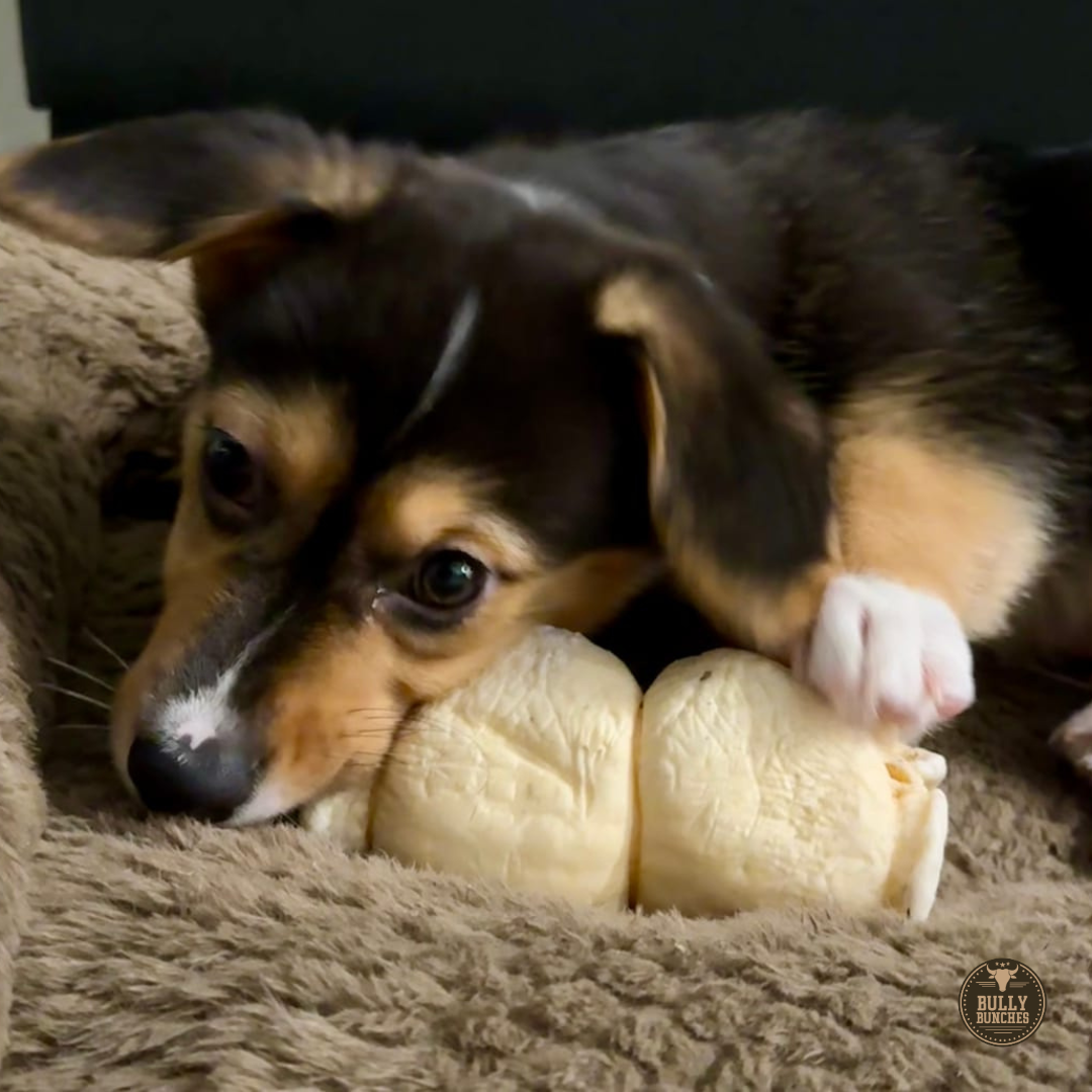 5-6 Inch Beef Cheek Roll