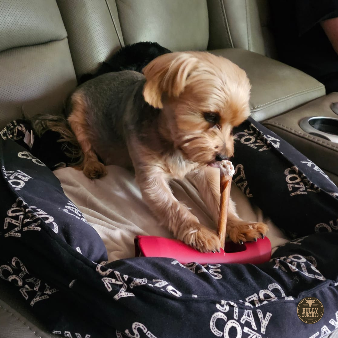 5-6 Inch Collagen Stick