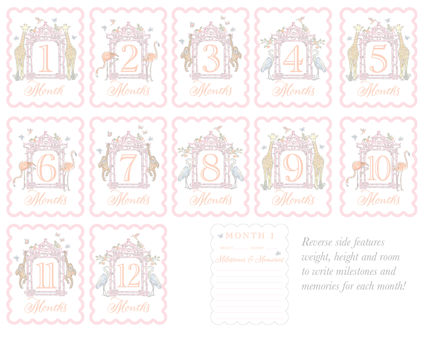 Watercolor Baby Milestone Cards