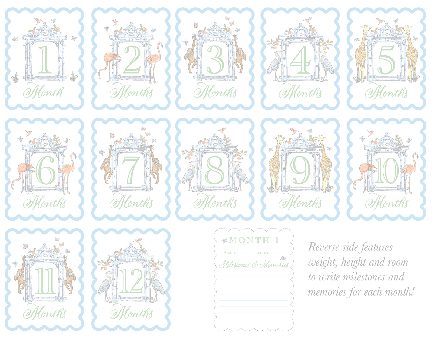 Watercolor Baby Milestone Cards