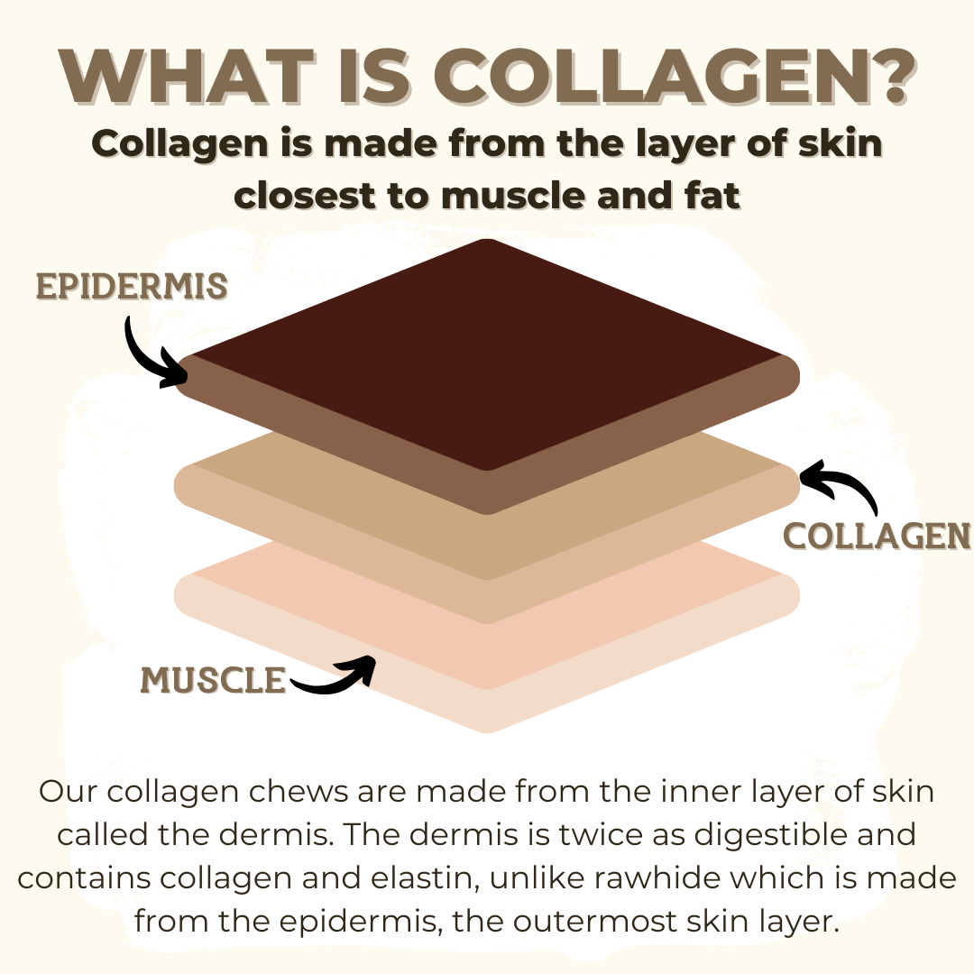 10-12 Inch Collagen Stick
