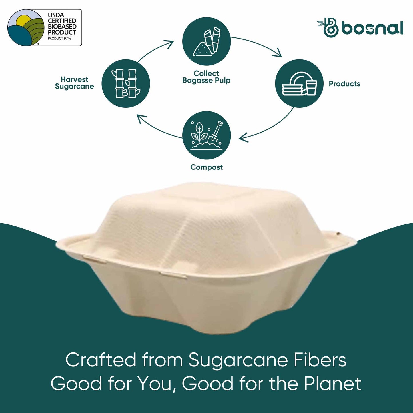 Bosnal - Sugarcane Bagasse Compostable Square Clamshell Containers - Case of 20 (500 Pcs)