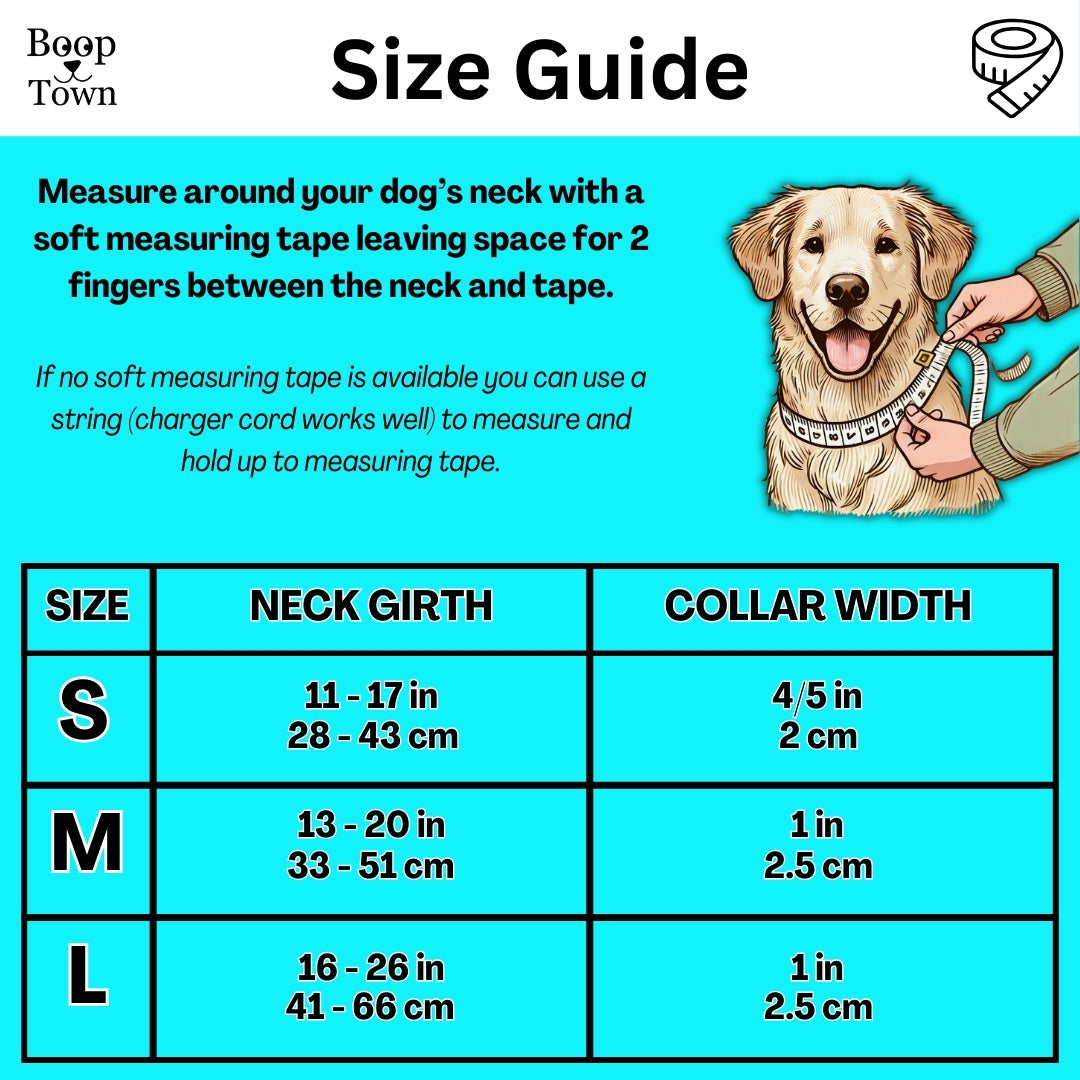 Petal Splash Collar
