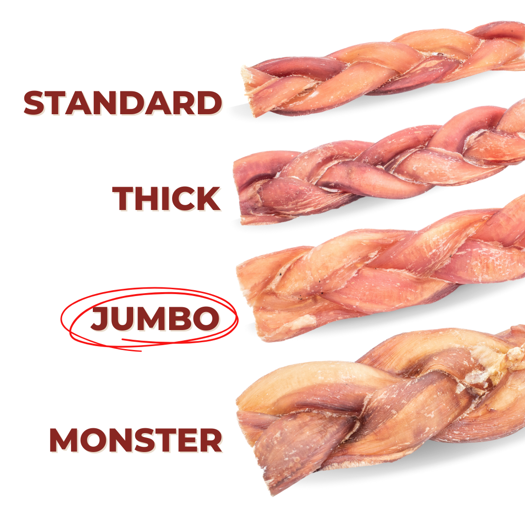 12 Inch Jumbo Braided Bully Stick