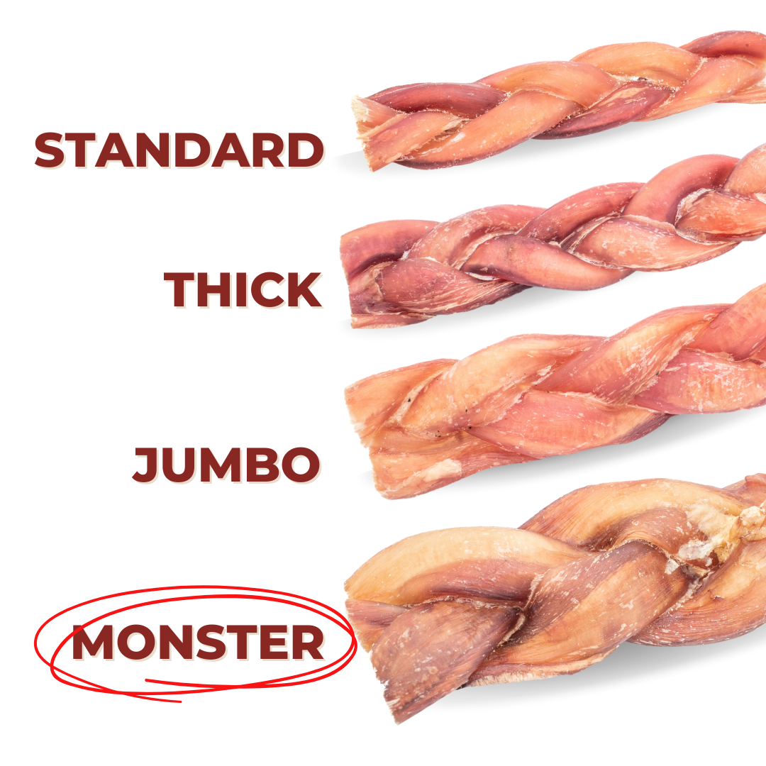 12 Inch Monster Braided Bully Stick