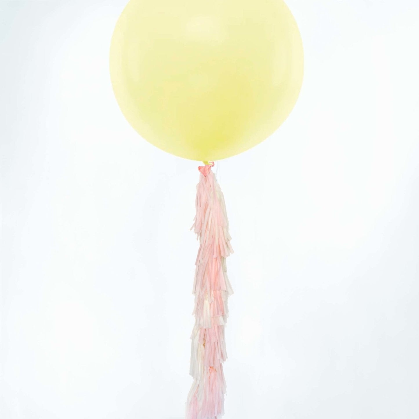 Pink and Yellow Pastel Paper Tassel Tail