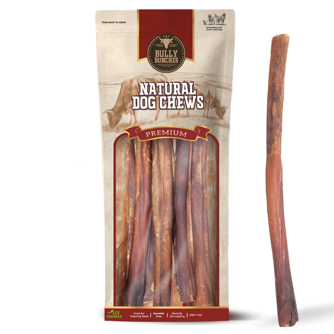 10-12 Inch Champion Chew - themonogram manor 