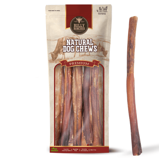 10-12 Inch Champion Chew - themonogram manor 