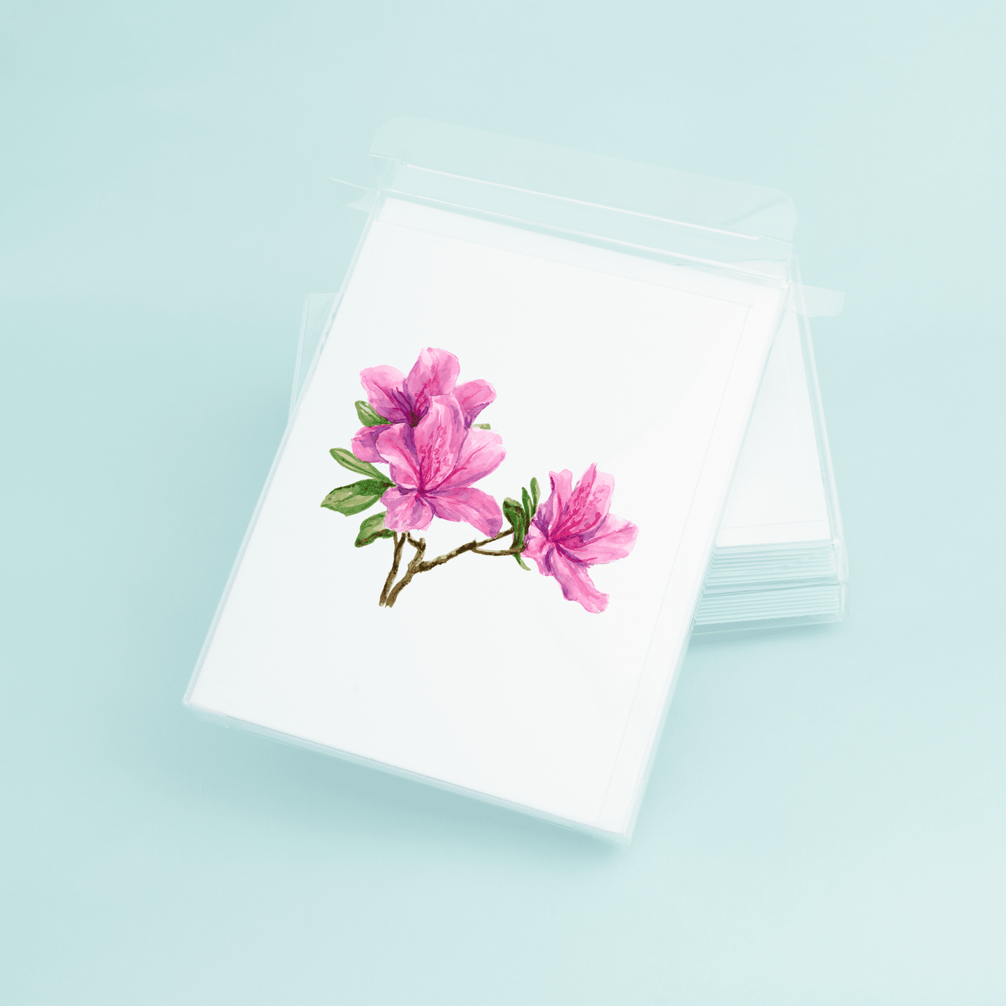 Azaleas - themonogram manor 