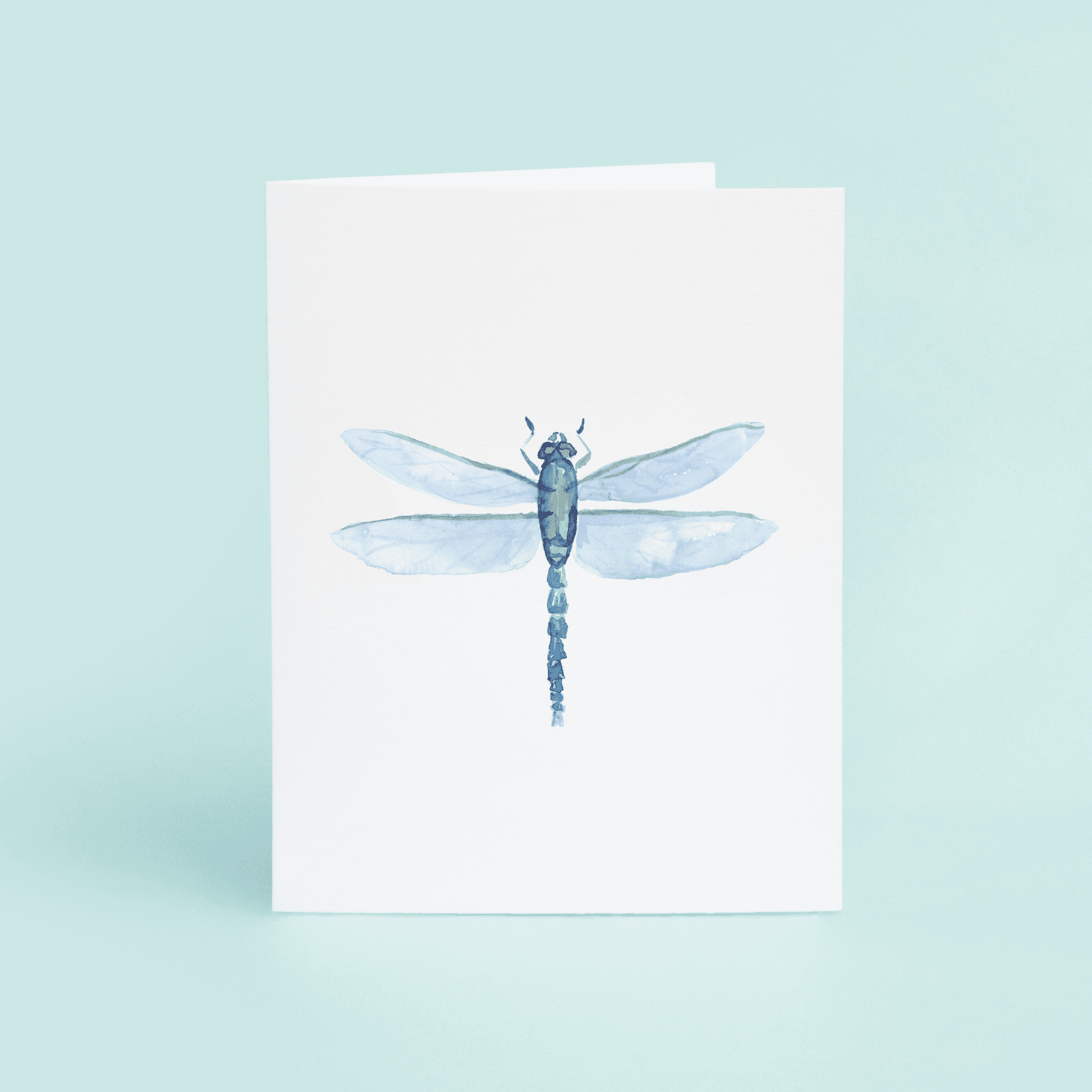 Dragonfly - themonogram manor 