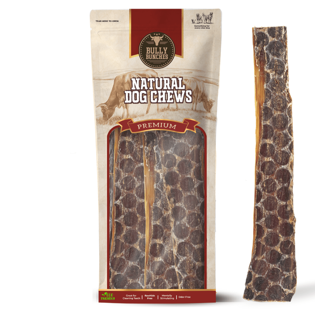 12 Inch Beef Jerky Strip - themonogram manor 