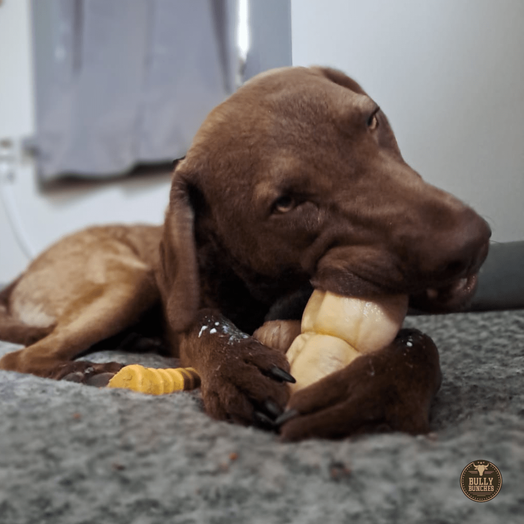 5-6 Inch Peanut Butter Cheek Roll - themonogram manor 