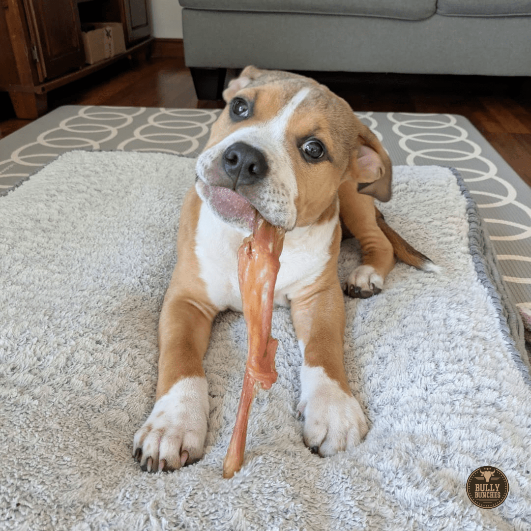 Beef Tendon - themonogram manor 