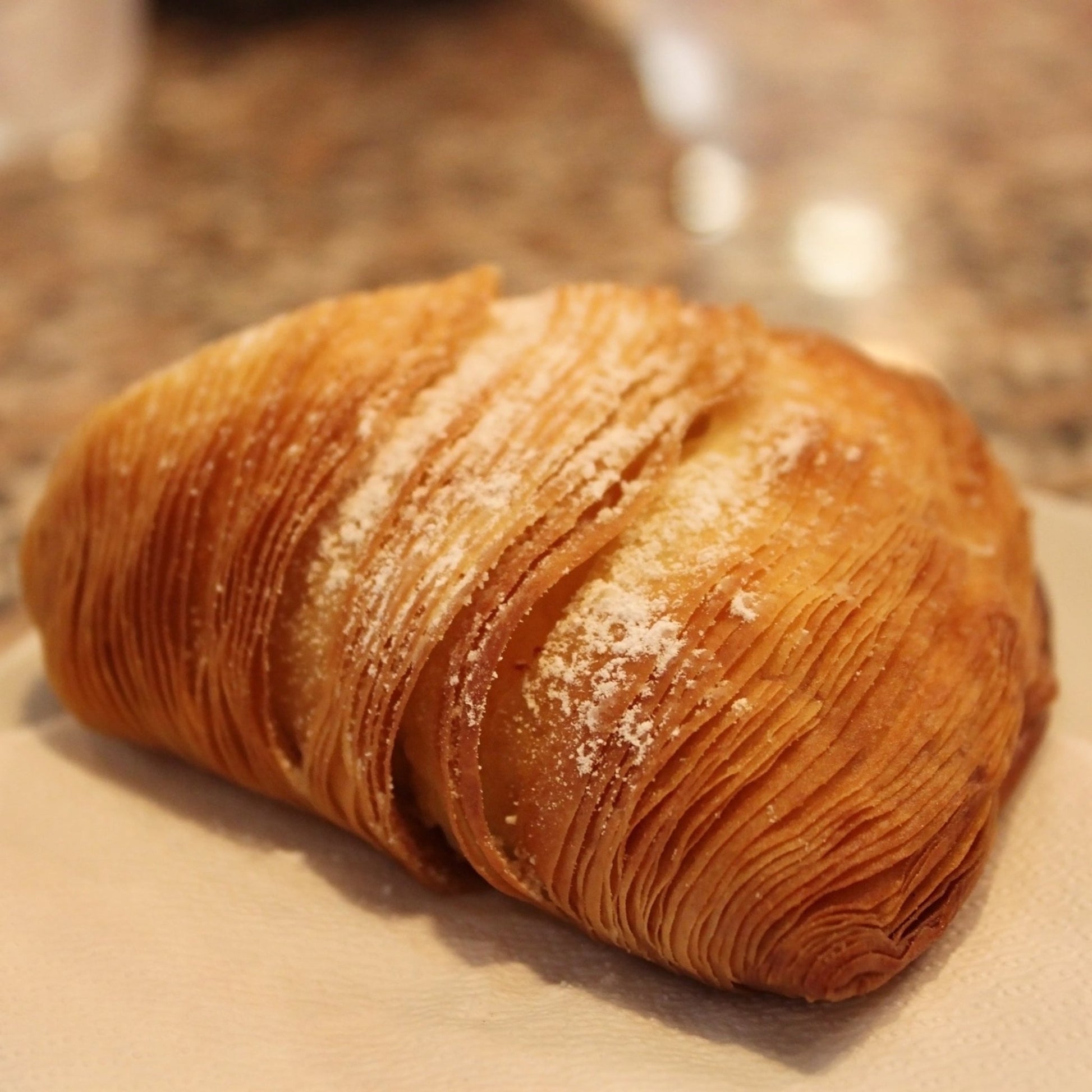 Large Italian Sfogliatelle Take and Bake Pastries - themonogram manor 