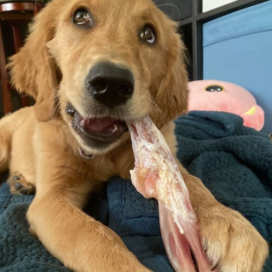 Beef Tendon - themonogram manor 