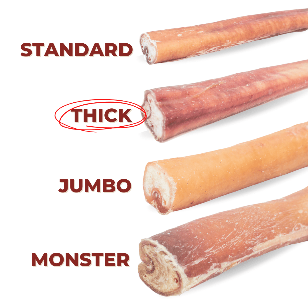 6 Inch Thick Bully Stick - themonogram manor 