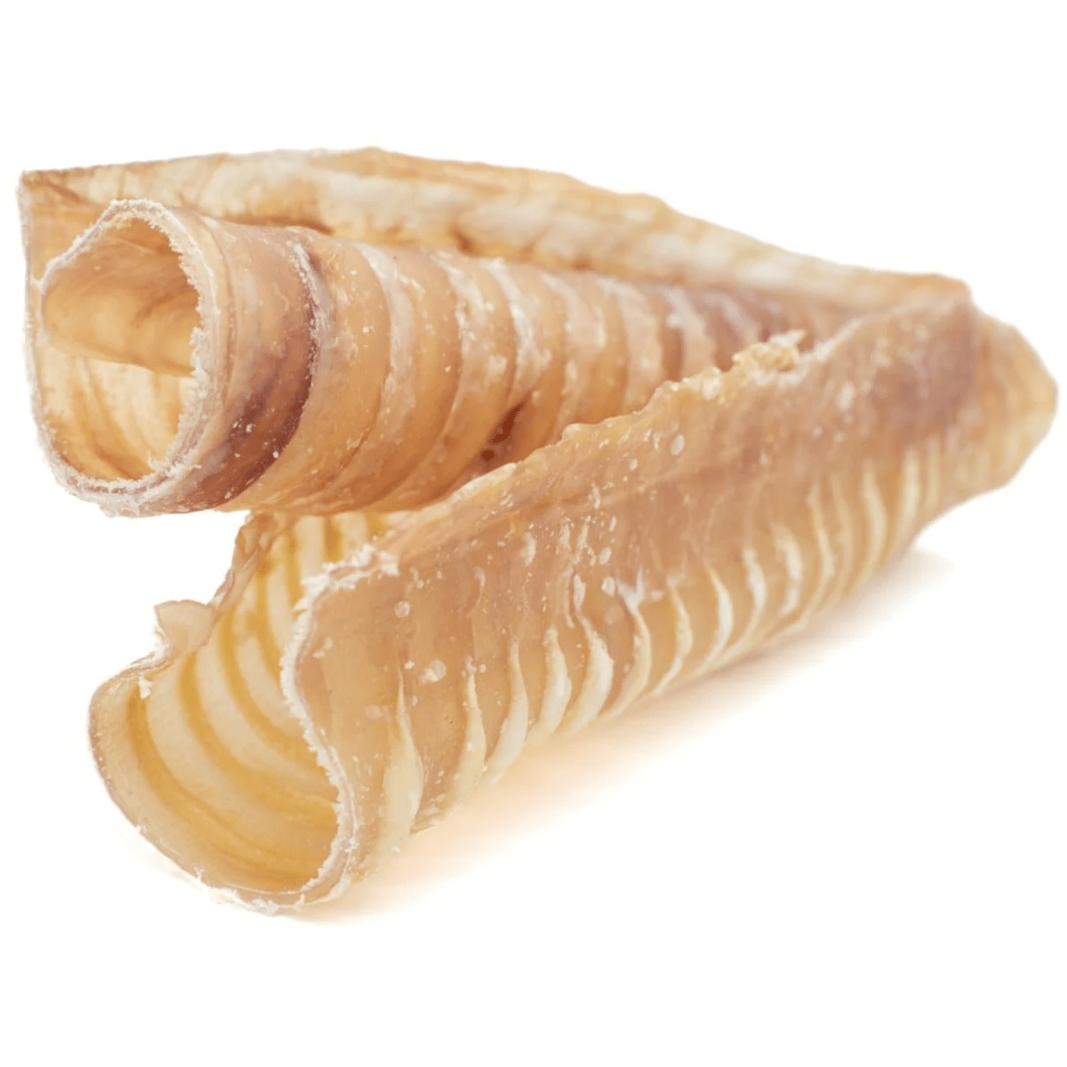 6 Inch Beef Trachea - themonogram manor 