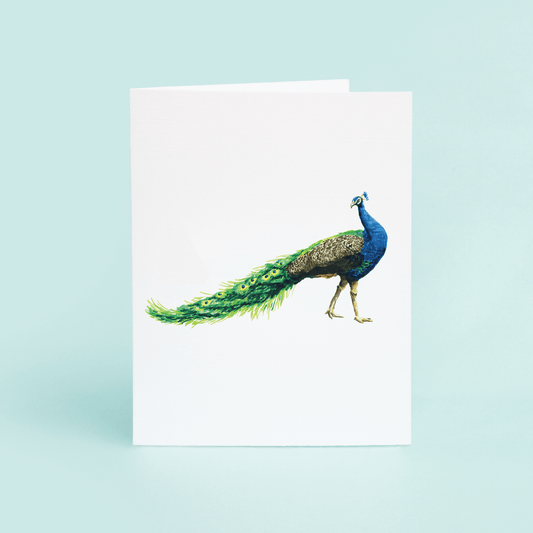 Peacock Strut - themonogram manor 