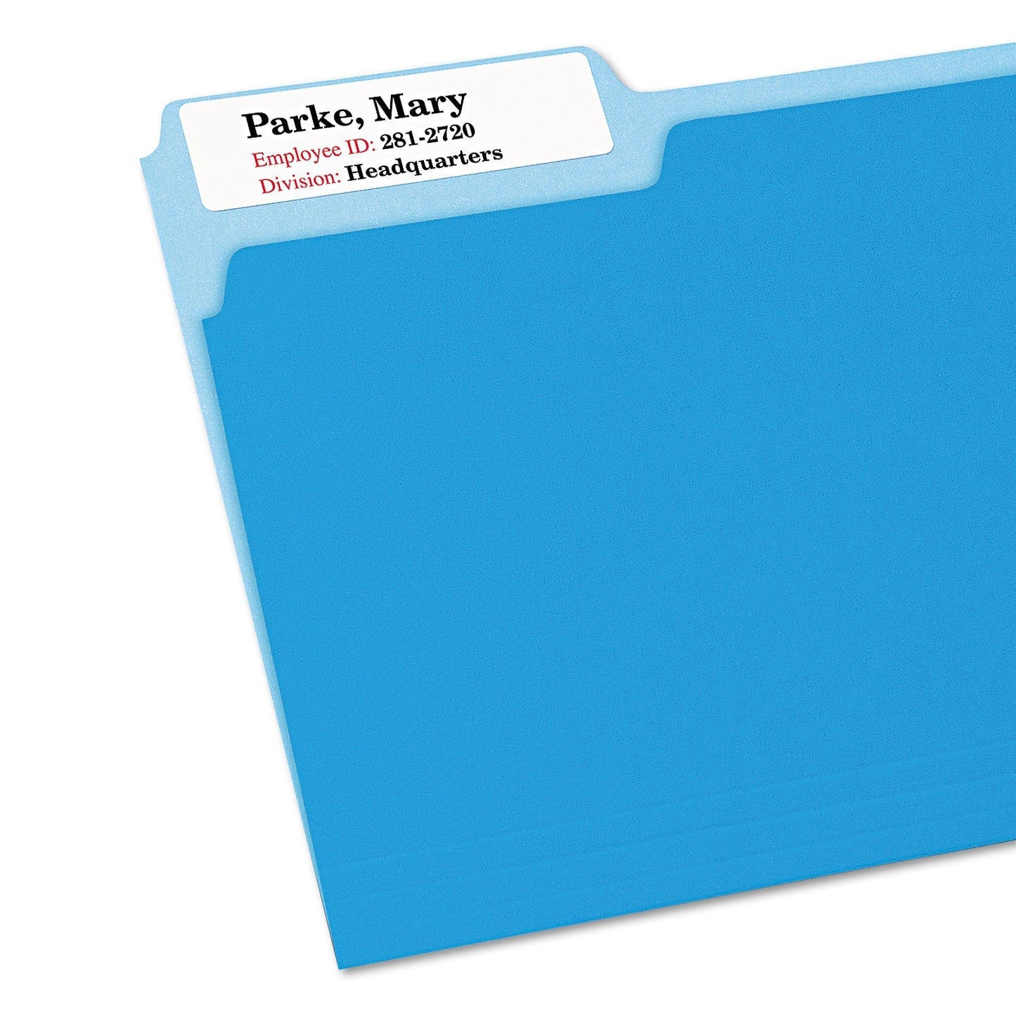 Avery Extra - Large TrueBlock File Folder Labels with Sure Feed Technology, 0.94 x 3.44, White, 18/Sheet, 25 Sheets/Pack - themonogram manor 