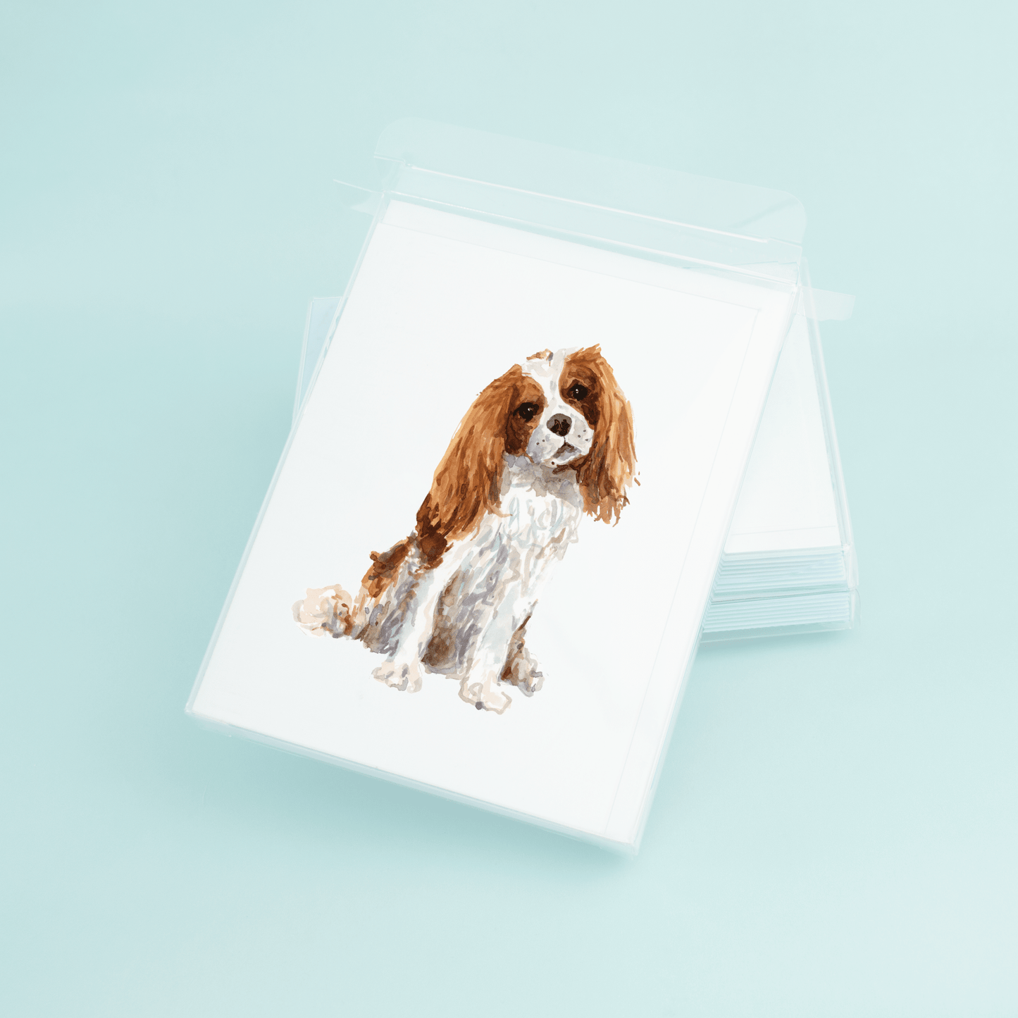 Cavalier King Charles - themonogram manor 
