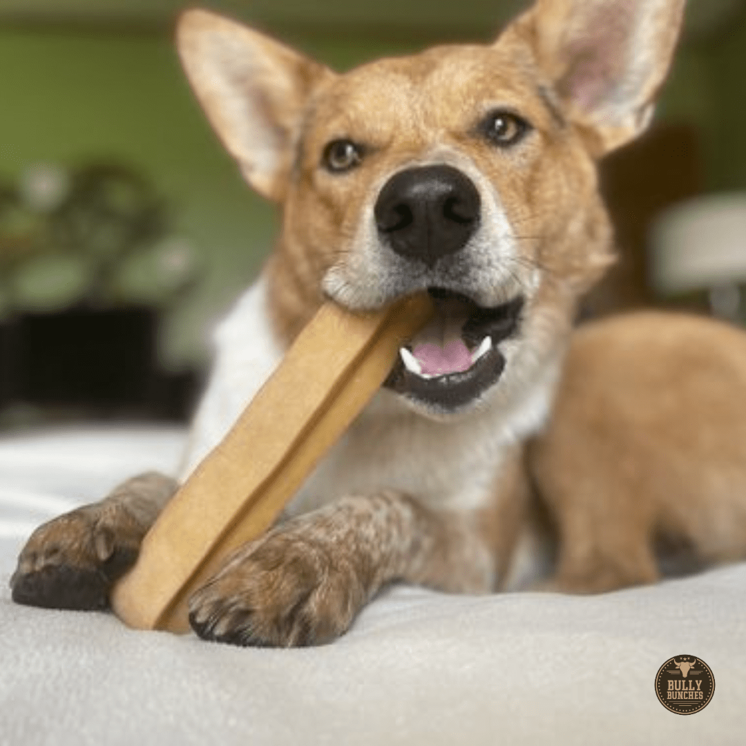 Himalayan Yak Chew (EXTRA LARGE) - themonogram manor 