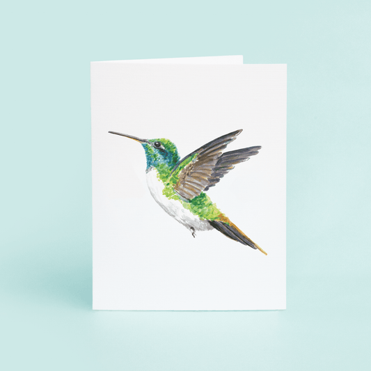 Hummingbird - themonogram manor 