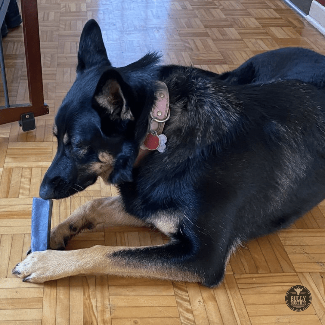 Himalayan Yak Chew Flavor Pack - themonogram manor 