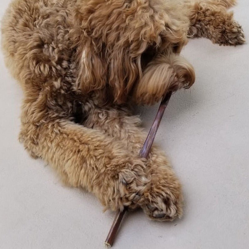 12 Inch Beef Jerky Stick - themonogram manor 