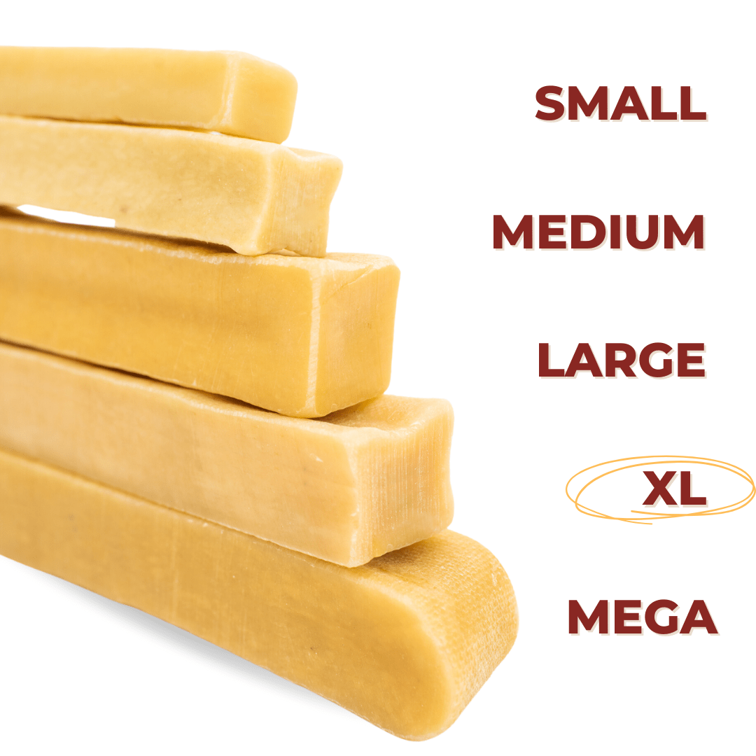 Himalayan Yak Chew (EXTRA LARGE) - themonogram manor 