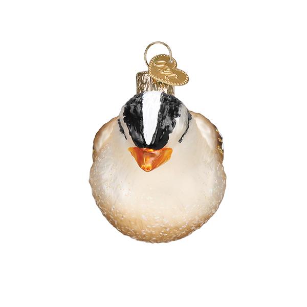 White Crowned Sparrow - themonogram manor 