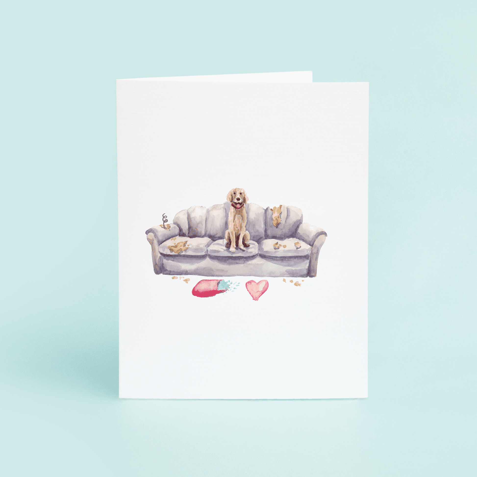 Dog on Couch - themonogram manor 