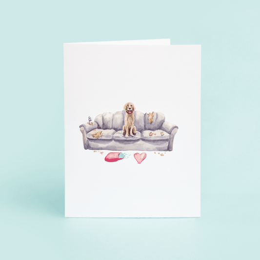 Dog on Couch - themonogram manor 