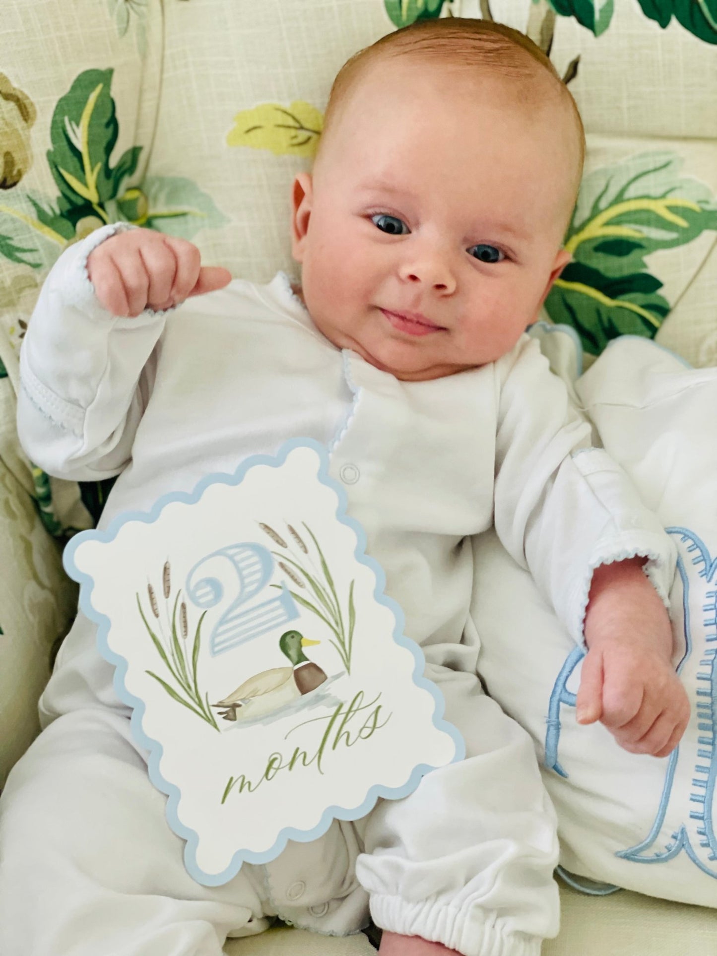 Watercolor Mallard Duck Milestone Cards - themonogram manor 