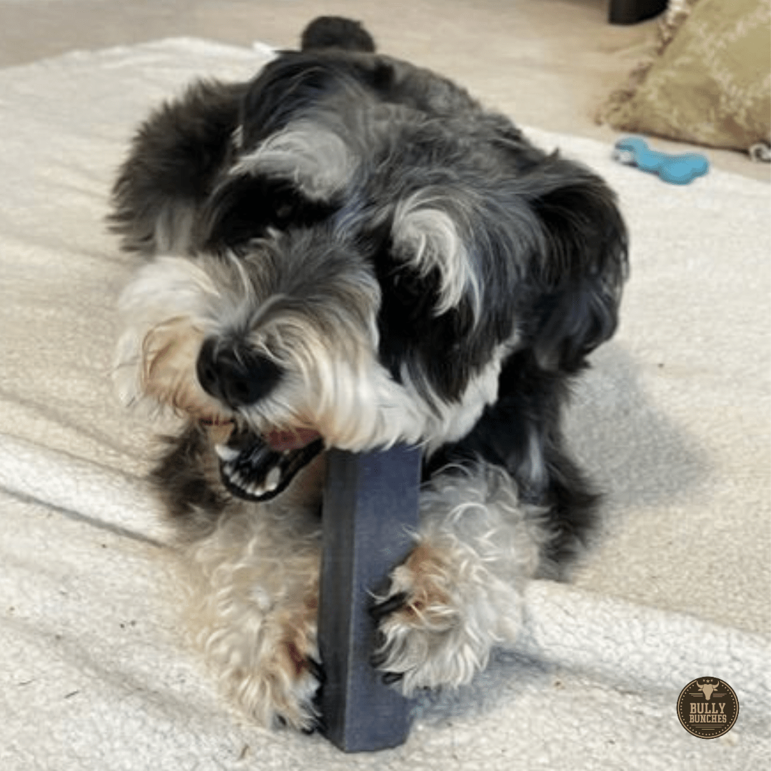 Blueberry Himalayan Yak Chew (MEDIUM) - themonogram manor 